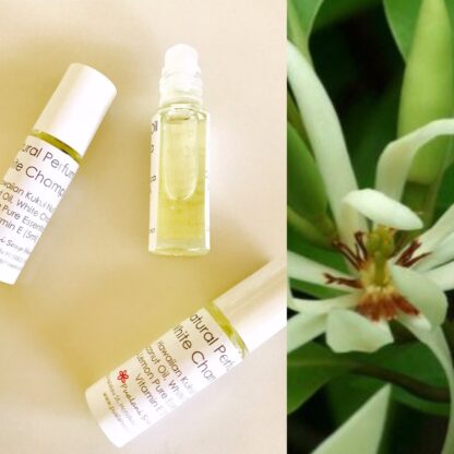 2 Samples Natural Perfume Oil with Pure Essential Oils Hawaiian Kukui Nut and Coconut Oil Base