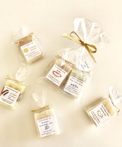 2 Mini Soap Gift Pack Choose your favorite soap